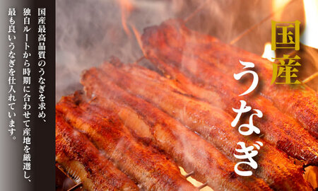 1036 美濃金 神田本店 炭焼 国産うなぎ蒲焼2尾