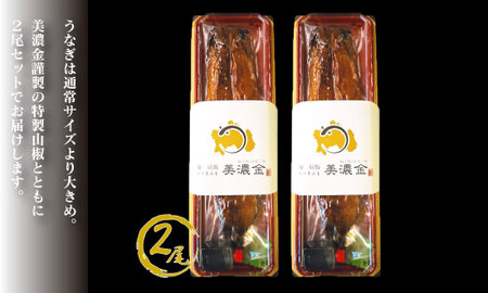 1036 美濃金 神田本店 炭焼 国産うなぎ蒲焼2尾