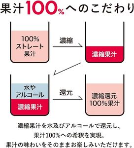 1125 100%カジューハイ りんご チューハイ 340ml×24本 1ケース