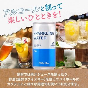 1140 神戸居留地 スパークリングウォーター 強炭酸水 190ml×30本 1ケース プレーン ソーダ 炭酸飲料 炭酸水 割り材 缶