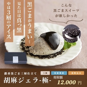 岐阜県(各務原市)】1214 胡麻ジェラ -極- 濃香黒ごま三層仕立て ＜5個