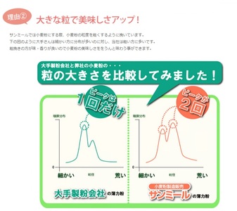1227 タマイズミSS　5kg 岐阜県産小麦準強力粉