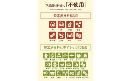 611 アレルゲンフリーダークチョコレート15枚セット