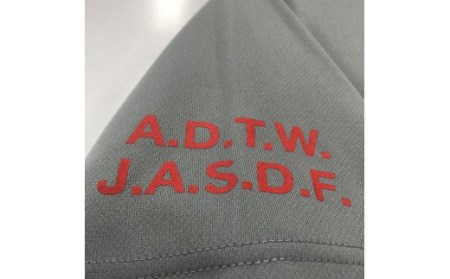 743 F-4EJ 301号機 Tシャツ(飛行開発実験団 明灰)