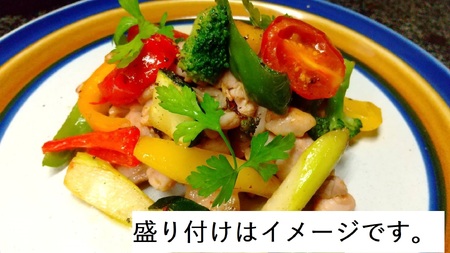 719 やみつきポッロ（チキン）　２００ｇ×10Ｐ（BBQソース２本付き）