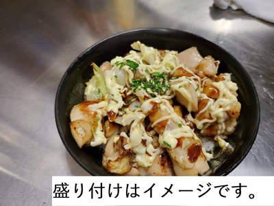 719 やみつきポッロ（チキン）　２００ｇ×10Ｐ（BBQソース２本付き）