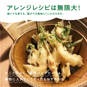 934 根と芽も丸ごと食べられる！発芽にんにく【30本】岐阜産クリーンルーム水耕栽培