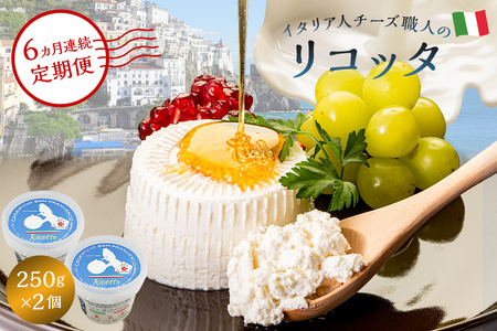 【定期便】リコッタ Ricotta 250g 2個セット(6カ月連続お届け)【0073-050】岐阜県 可児市 しぼりたて 高品質 生乳 フレッシュ 柔らかい クリーム 食感 ミルク 風味 甘み チーズ