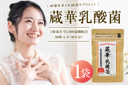 乳酸菌サプリメント　蔵華乳酸菌　【0106-002】岐阜県 可児市 サプリメント 乳酸菌 味噌由来 植物性乳酸菌 健康 食品 健康食品 貧血改善 味噌 LTK-1 アダプトゲン製薬 お取り寄せ