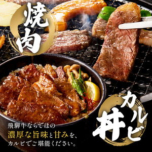 飛騨牛カルビ500g【0016-054】