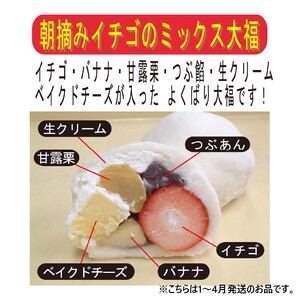 ミックス大福詰め合わせ 10個 【0107-001】 ﾌﾙｰﾂ大福 菓子 和菓子 ﾌﾙｰﾂ 大福 季節大福 餅 ｽｲｰﾂ ｷﾞﾌﾄ お土産 贈答