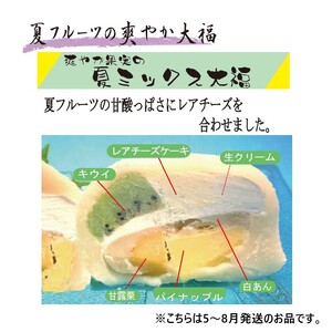 ミックス大福詰め合わせ 10個 【0107-001】 ﾌﾙｰﾂ大福 菓子 和菓子 ﾌﾙｰﾂ 大福 季節大福 餅 ｽｲｰﾂ ｷﾞﾌﾄ お土産 贈答