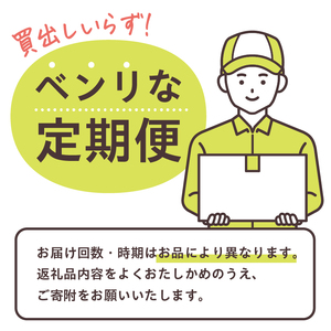 【定期便】MAKE BALANCE ソイプロテイン ココア（3か月連続お届け） 【0105-007-2】 