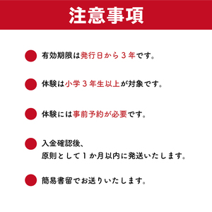 トンボ玉体験チケット2枚組 【0008-001】岐阜県 可児市 職人 体験ﾁｹｯﾄ 手作り ｶﾞﾗｽ ｵﾘｼﾞﾅﾙ ｱｸｾｻﾘｰ ﾈｯｸﾚｽ ｽﾄﾗｯﾌﾟ ﾊﾝﾄﾞﾒｲﾄﾞ