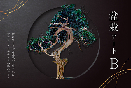 盆栽アート【B】 【0120-002】盆栽 ｱｰﾄ 伝統文化 ｲﾝﾃﾘｱ ﾃﾞｨｽﾌﾟﾚｲ 再生 植物