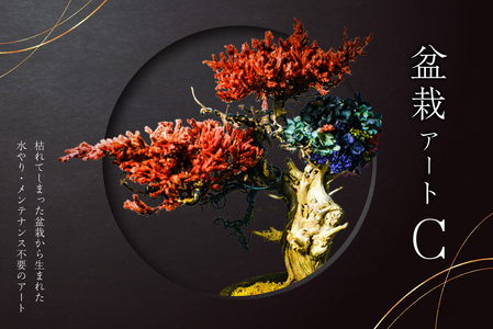 岐阜県(可児市)】盆栽アート【C】 【0120-003】盆栽 ｱｰﾄ 伝統文化