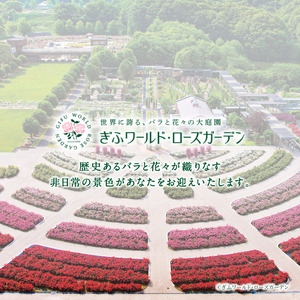 ぎふワールド・ローズガーデン　年間パスポート　1枚【0070-002】 花 自然 ﾊﾞﾗ 鑑賞 ﾊﾞﾗ園 年ﾊﾟｽ