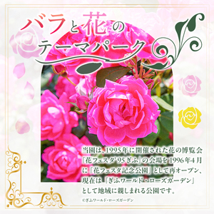 ぎふワールド・ローズガーデン　年間パスポート　1枚【0070-002】 花 自然 ﾊﾞﾗ 鑑賞 ﾊﾞﾗ園 年ﾊﾟｽ