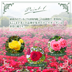 ぎふワールド・ローズガーデン　年間パスポート　1枚【0070-002】 花 自然 ﾊﾞﾗ 鑑賞 ﾊﾞﾗ園 年ﾊﾟｽ