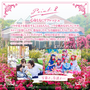 ぎふワールド・ローズガーデン　年間パスポート　1枚【0070-002】 花 自然 ﾊﾞﾗ 鑑賞 ﾊﾞﾗ園 年ﾊﾟｽ