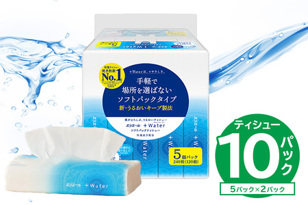 エリエール +Water（プラスウォーター）ソフトパックティシュー　120W5P×2パック 【0095-016-1】