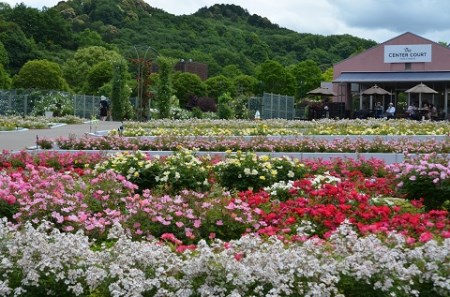 花フェスタ記念公園入園券セット(パスポート1枚、500円分の金券2枚)