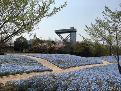 花フェスタ記念公園入園券セット 入園券4枚 500円分の金券4枚 岐阜県可児市 ふるさと納税サイト ふるなび