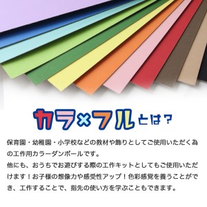 カラーダンボール【カラ × フル】12色セット 750サイズ【0063-001】