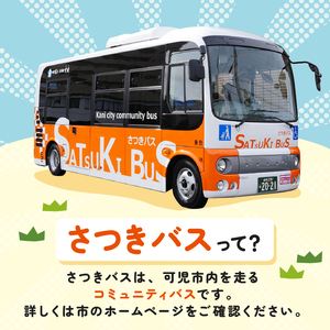 さつきバス回数券【0001-001】岐阜県 可児市 交通券 移動 車椅子 コミュニティバス 市内 循環バス バス券 乗車券 利用券 チケット 東濃鉄道