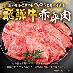 飛騨牛 すき焼き用 もも・かた肉700g【0016-034】