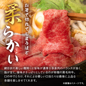 飛騨牛 すき焼き用 もも・かた肉700g【0016-034】