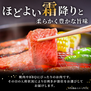 飛騨牛 ロースまたは肩ロース 600g (焼肉・BBQ用)【0091-007】岐阜県 可児市 肉 牛肉 和牛 ブランド牛 国産 霜降り 柔らか 旨み 冷凍 バーベキュー アウトドア ギフト 贈答 養老ミート 焼肉 BBQ