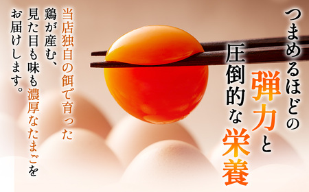 濃厚卵黄もみじたまご【40個入り】【3ヶ月連続】定期便 [No.934]