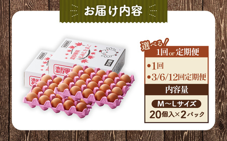 濃厚卵黄もみじたまご【40個入り】【3ヶ月連続】定期便 [No.934]