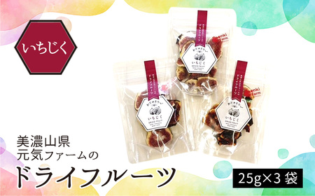 美濃山県元気ファームのドライフルーツかじゅえりー　いちじく [No.1101]