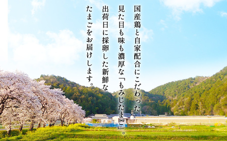 【山田養鶏】濃厚卵黄もみじたまご【40個入り】 [No.1122]  ／ タマゴ 純国産 新鮮 採れたて 岐阜県 特産