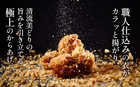 【湯煎でからあげ串】岐阜せんから　清流美とり　からあげ串　約350g [No.1129] ／ カラアゲ 唐揚げ ブランド鶏 モモ肉 からあげグランプリ 最高金賞 サクサク 煎餅粉 煎餅衣 ジューシー 新感覚 そうざい 惣菜 おかず おつまみ 晩ごはん 夕食 夜食 ゆせん 手軽 時短 岐阜県