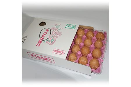 【山田養鶏】濃厚卵・若鶏小玉　食べ比べセット [No.187]