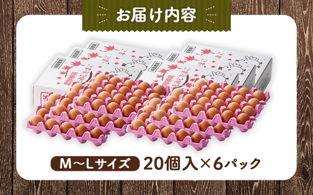 【山田養鶏】濃厚卵黄もみじたまご【120個入り】 [No.190]