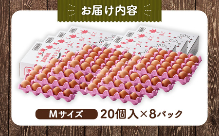 【山田養鶏】濃厚卵黄もみじたまご【160個入り】 [No.191]
