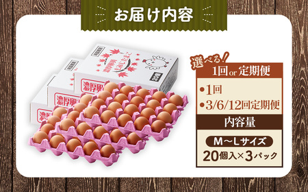 【山田養鶏】濃厚卵黄もみじたまご【60個入り】 [No.186]