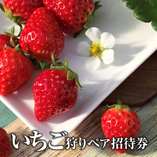 いちご狩りペア招待券 [No.252]