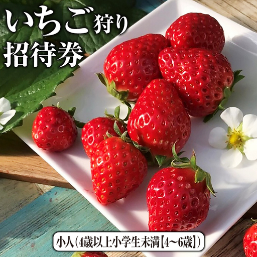 いちご狩り招待券　小人（4歳以上小学生未満【4～6歳】） [No.422]