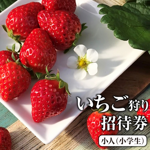 いちご狩り招待券　小人（小学生） [No.423]