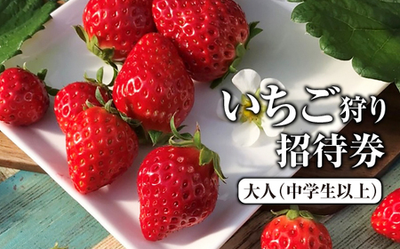 いちご狩り招待券　大人（中学生以上） [No.424] 7,100円