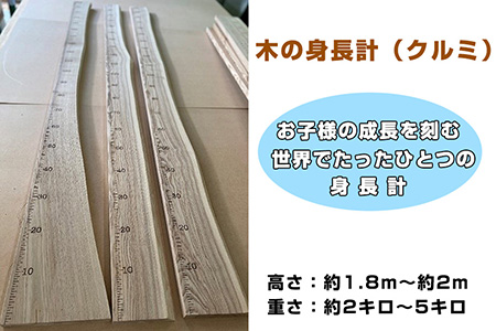 木の身長計（クルミ） [No.458]