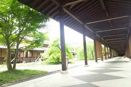 文化の里　古田紹欽記念館　呈茶回数券 [No.478]