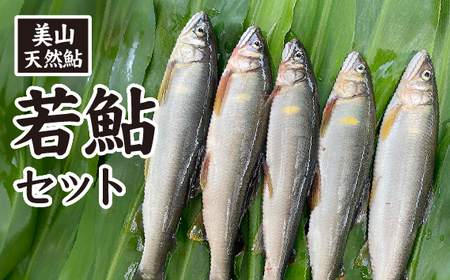 No.480 美山天然鮎 若鮎セット