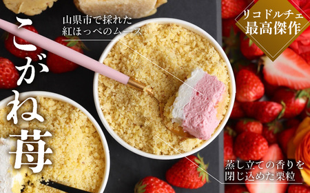 生モンブランこがねセット [No.490]