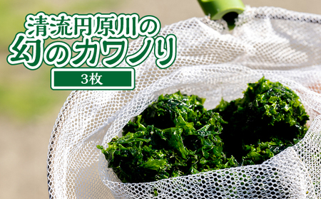 No.498 清流円原川の幻のカワノリ【3枚】